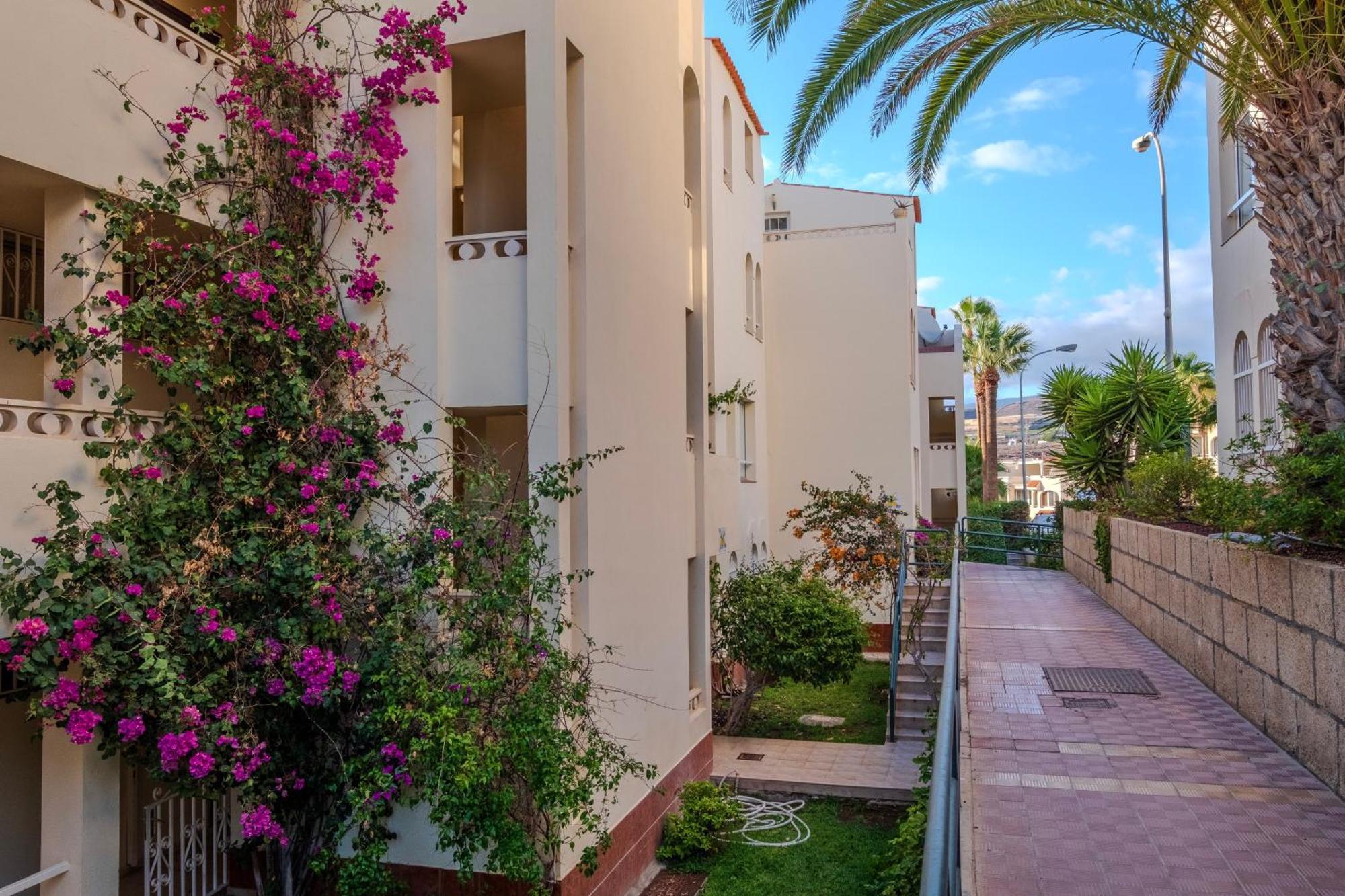 Tenerife Lizards - Apartment In The First Line カジャオ・サルバヘ エクステリア 写真